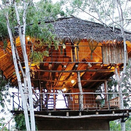 The Saraii Tree Lodge Tissamaharama Buitenkant foto