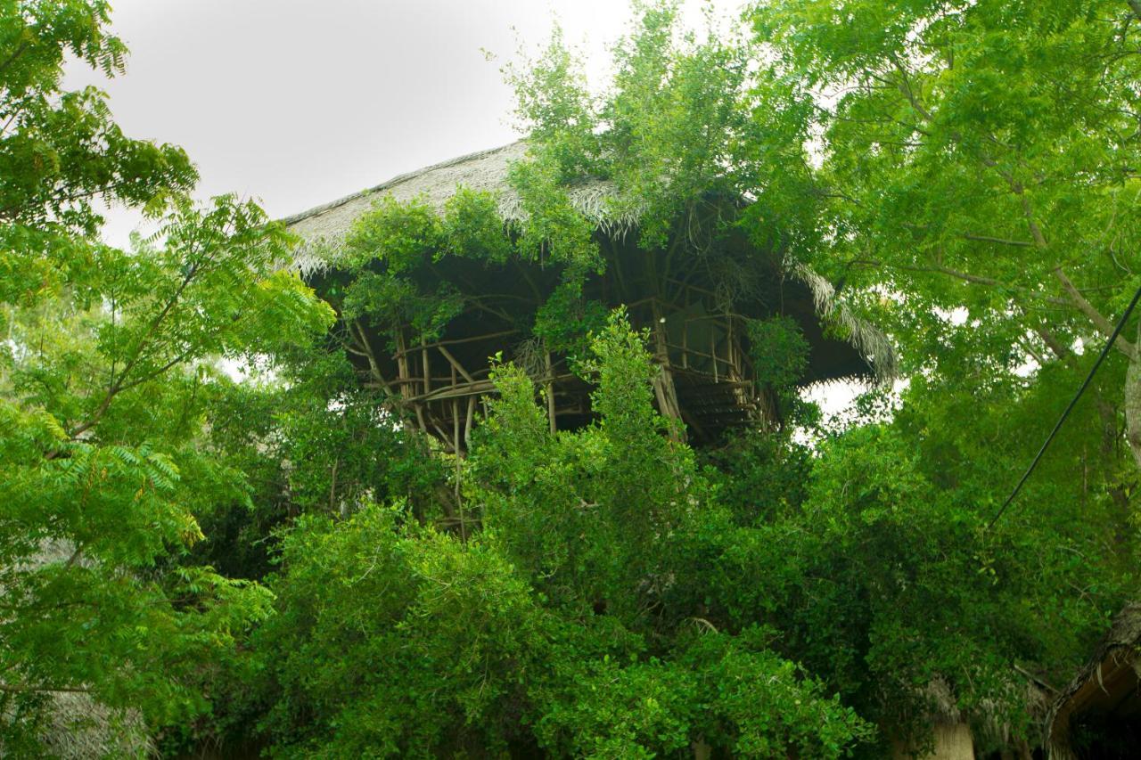The Saraii Tree Lodge Tissamaharama Buitenkant foto