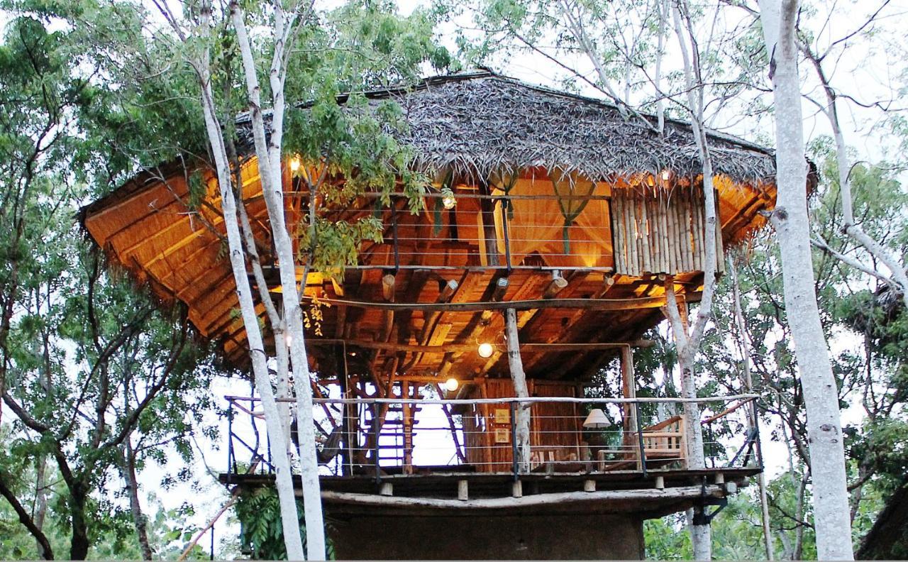 The Saraii Tree Lodge Tissamaharama Buitenkant foto